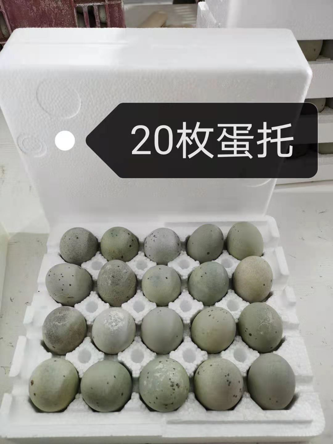 蛋托——湖南泡沫厂