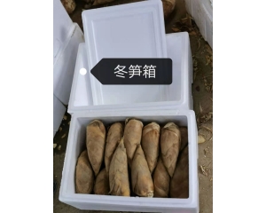 冬笋箱