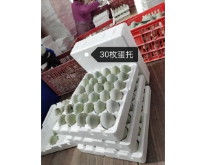 蛋托——湖南泡沫厂